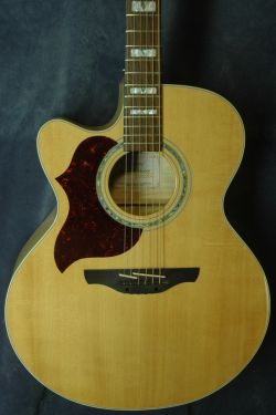 Takamine G-Series