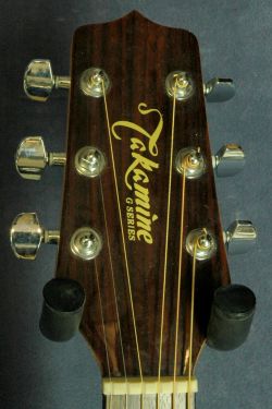 Takamine G-Series