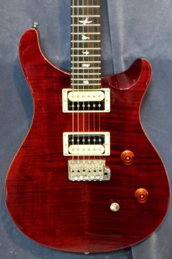 PRS SE Custom