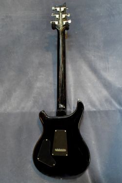 PRS SE Custom