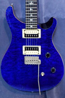 PRS SE Custom