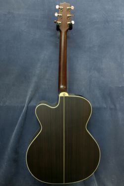 Takamine NPT-012BS