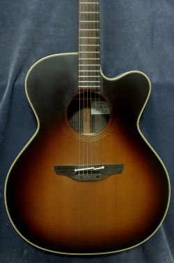 Takamine NPT-012BS