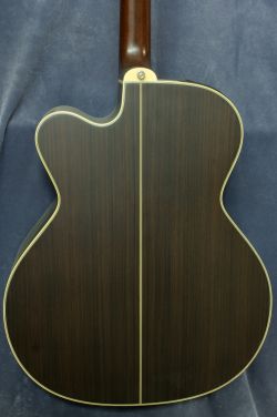 Takamine NPT-012BS