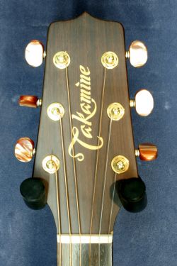 Takamine NPT-012BS