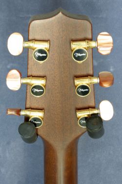 Takamine NPT-012BS