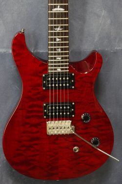  PRS SE Custom