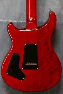  PRS SE Custom