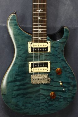 PRS SE Custom