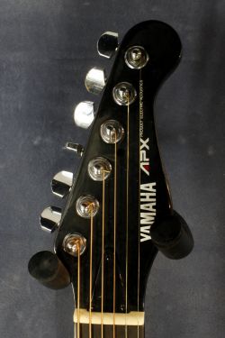 Yamaha APX