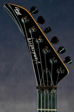 Peavey Vanderberg (USA)