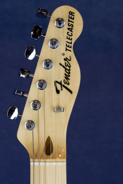 Fender TL-71 black