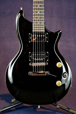 WASHBURN Custom