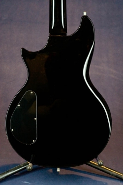 WASHBURN Custom