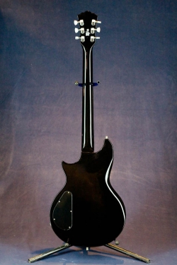 WASHBURN Custom