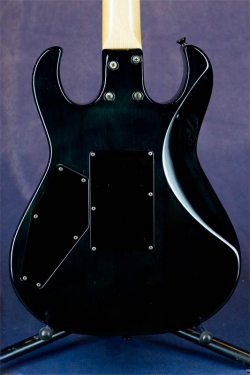 Edwards E-RA-110HR (RAYZI model)