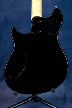 Peavey Wolfgang (USA)