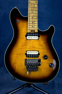 Peavey Wolfgang FR (USA)