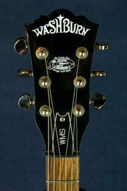 Washburn WMS Custom Shop (USA)  