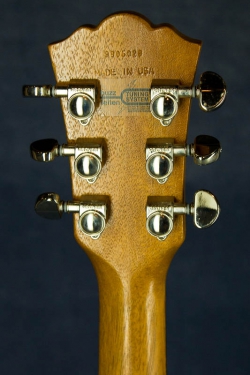 Washburn WMS Custom Shop (USA)  