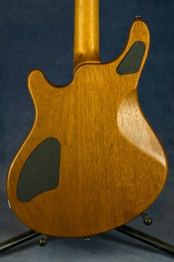 Washburn WMS Custom Shop (USA)  