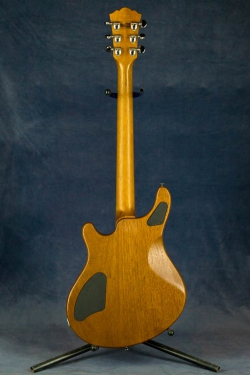 Washburn WMS Custom Shop (USA)  