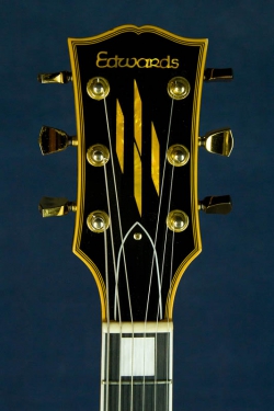 Edwards E-LP-98LTC