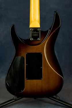 Jackson Dinky Standard (SB)