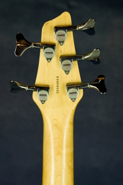 Washburn XB-500 Nat