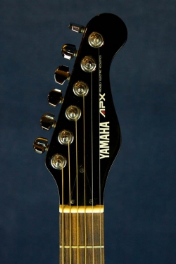 Yamaha APX-6S