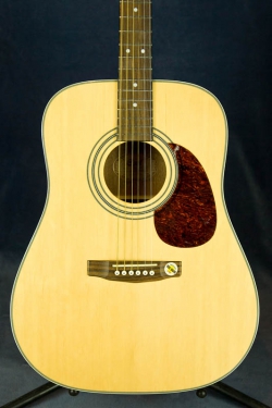 Cort AD-870