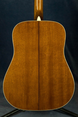 Cort AD-870