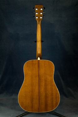 Cort AD-870