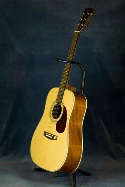 Cort AD-870