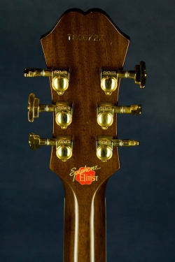 Epiphone Elitist