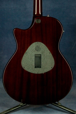 Taylor T5S-12 