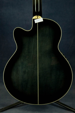 Ibanez AEL-2012E Blk