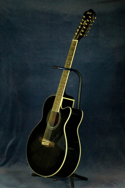 Ibanez AEL-2012E Blk