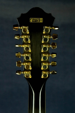 Ibanez AEL-2012E Blk