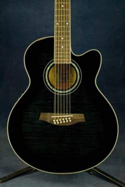 Ibanez AEL-2012E Blk