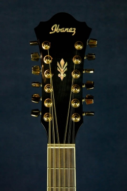 Ibanez AEL-2012E Blk