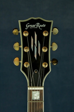 Grass Roots G-LP-50C (Blk)