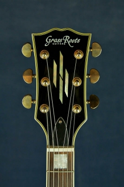 Grass Roots G-LP-50C (Blk)