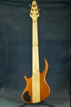 Alembic Rogue 6 Custom