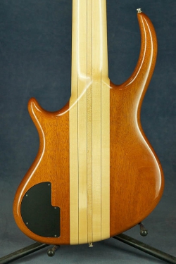 Alembic Rogue 6 Custom