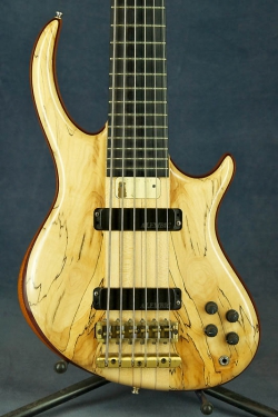 Alembic Rogue 6 Custom