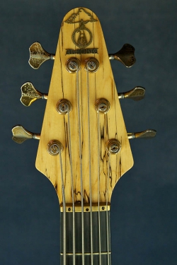 Alembic Rogue 6 Custom