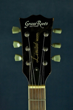 Grass Roots G-LP-50S Gold