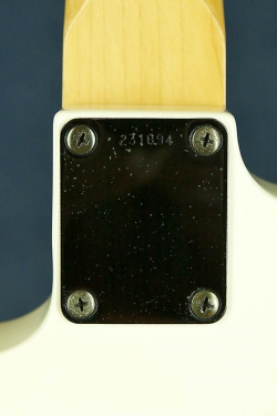 Zep custom II (White)