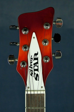 Silver Star RickenBacker 360